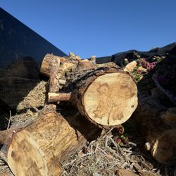 Tree Remov@l
