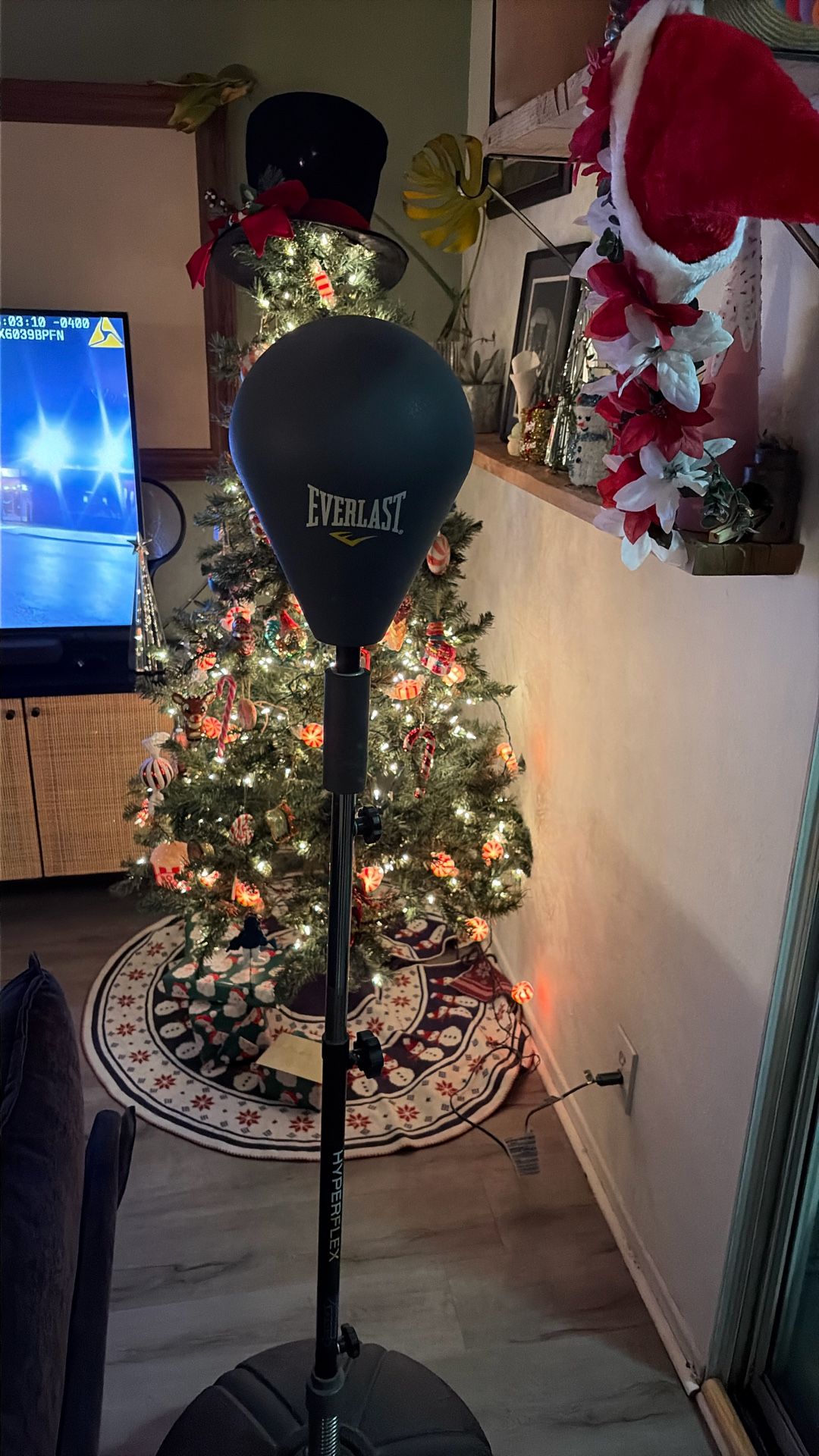 Everlast Standing Reflex Bag