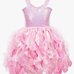 Pink Sparkly Tutu Dress 