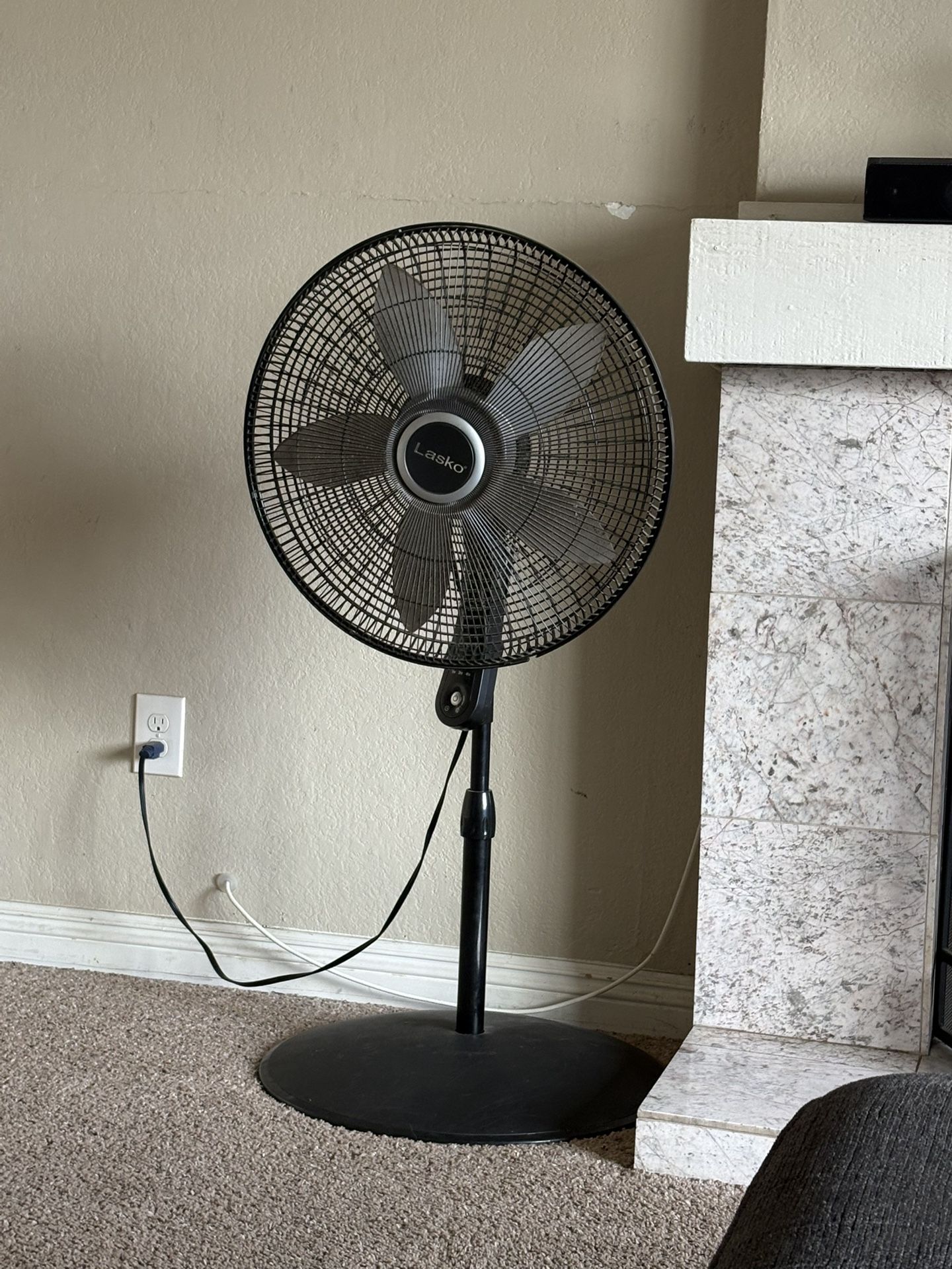 Fan