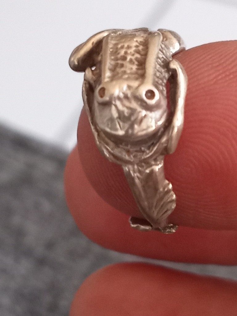 Anillo De Sterling Silver 925 De Rana Esta Quebrado