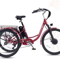 New Tricycle Viribus TG1 Electric