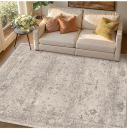 5x7 Washable Area Rug for Small Living Room, TALANOVA