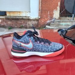 Brand New And Original Men's Nike Air LeBron James Sneakers Size 11