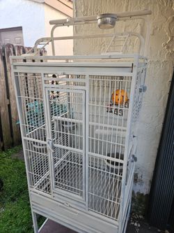 cage jaula