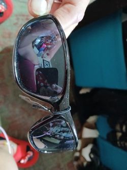 Alligator sunglasses