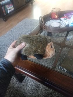 Stuffed Animal