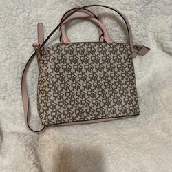 Dkny Purse