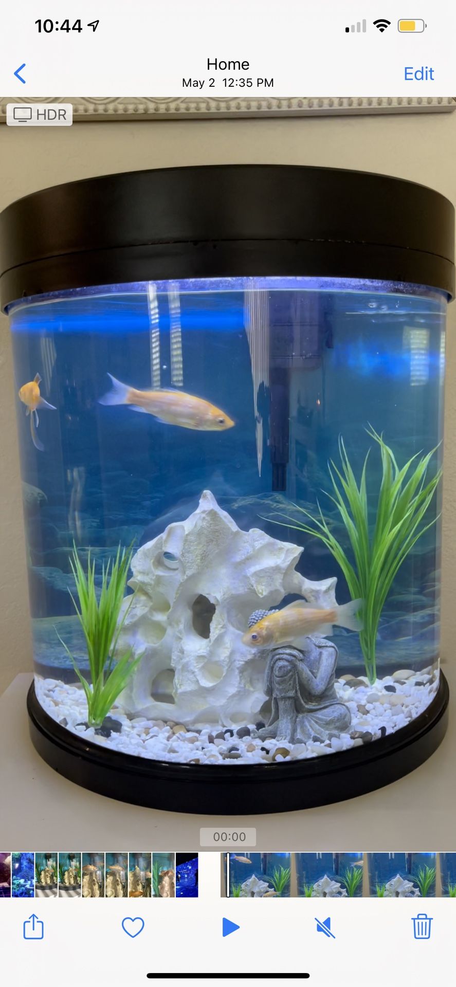 10 Gallon Half-Moon Fish Tank 