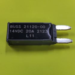 20 Amp Fuse