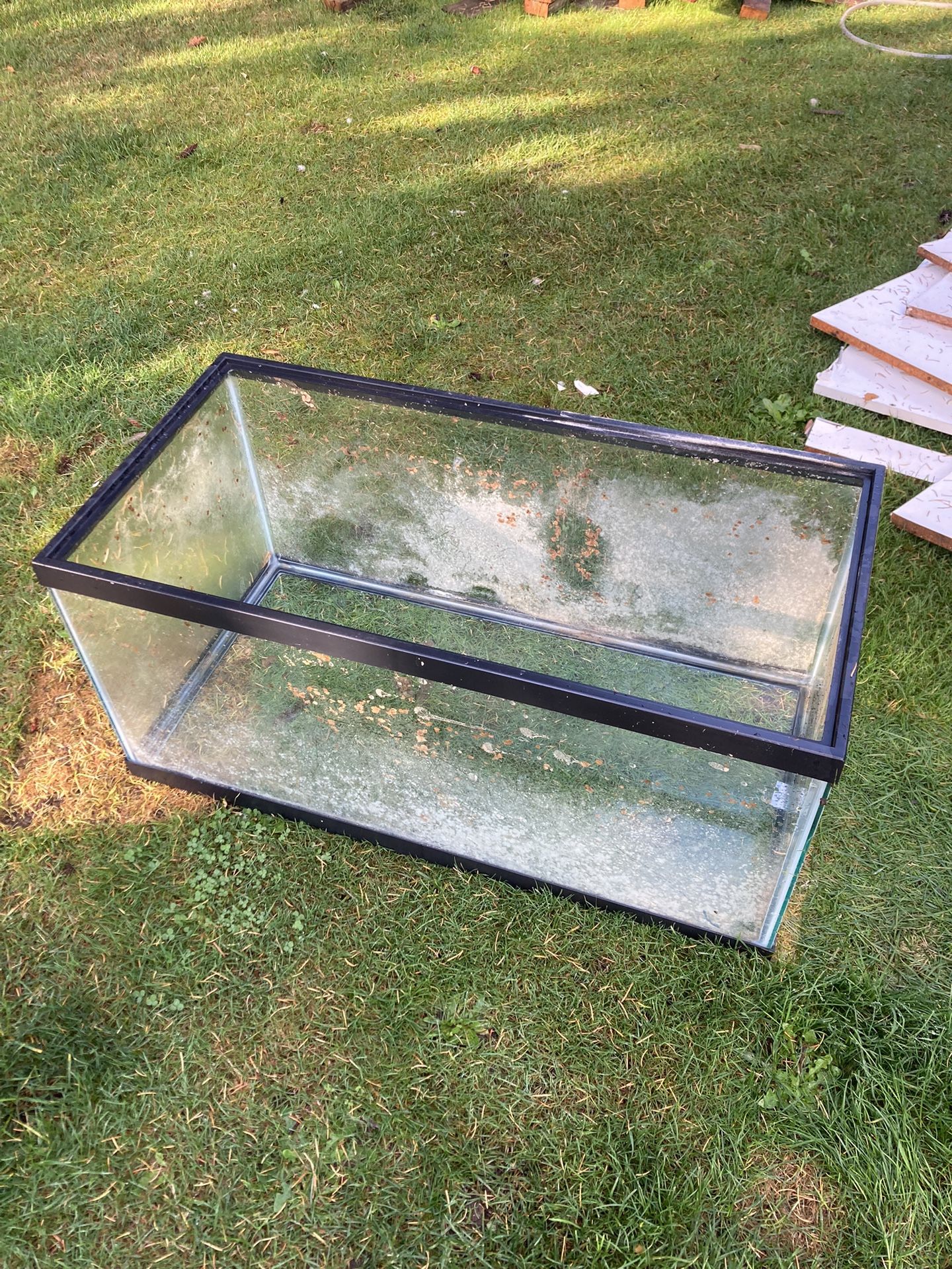 40 Gallon Aquarium Tank