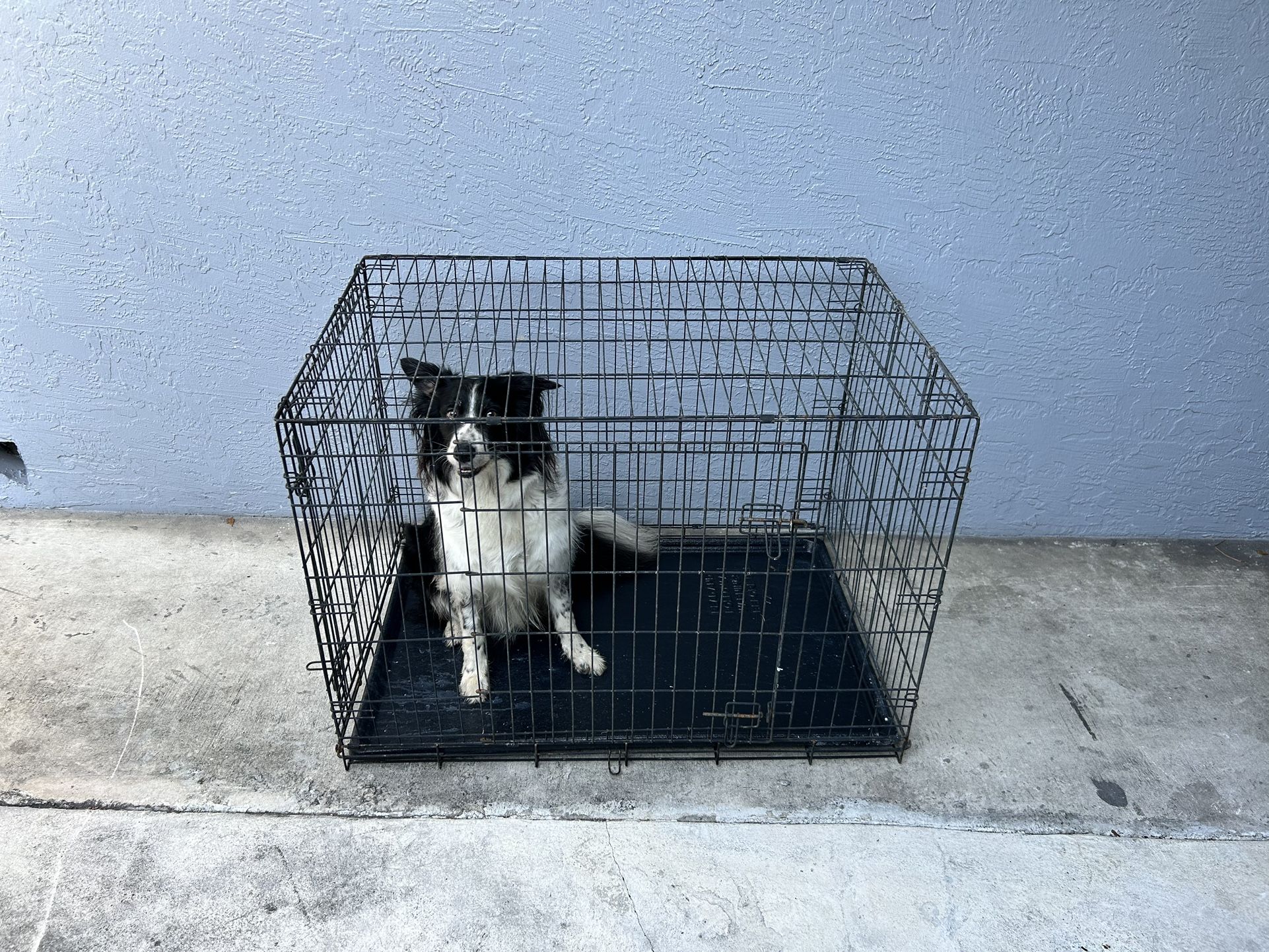 Folding Dog Cage Crate 