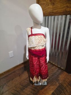 New Disney Monna 2 Costume 20.00 Each