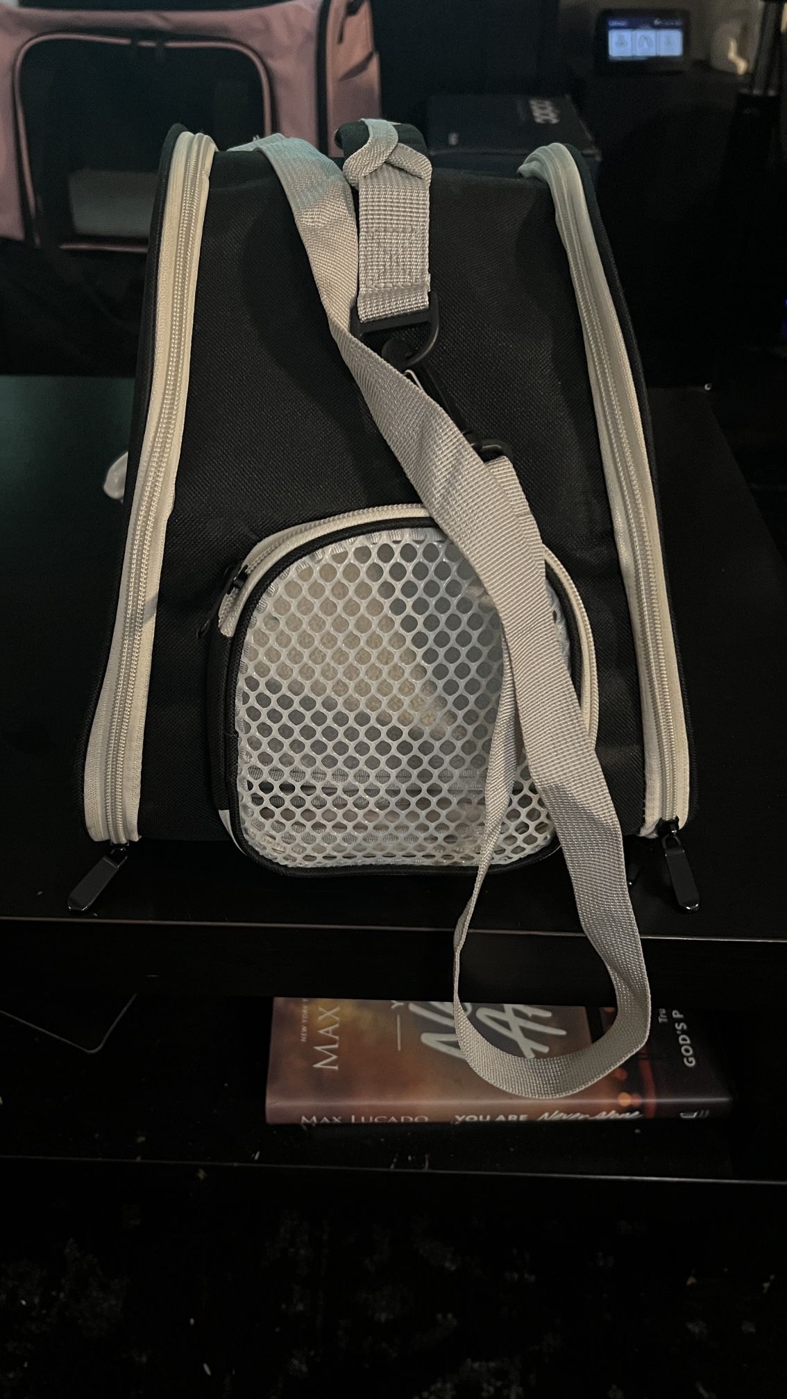 Pet Carriers 2 For $20