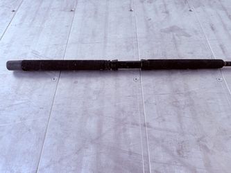 Seeker Super Seeker Fishing Rod (SS 660XF-6' 15-25LB)
