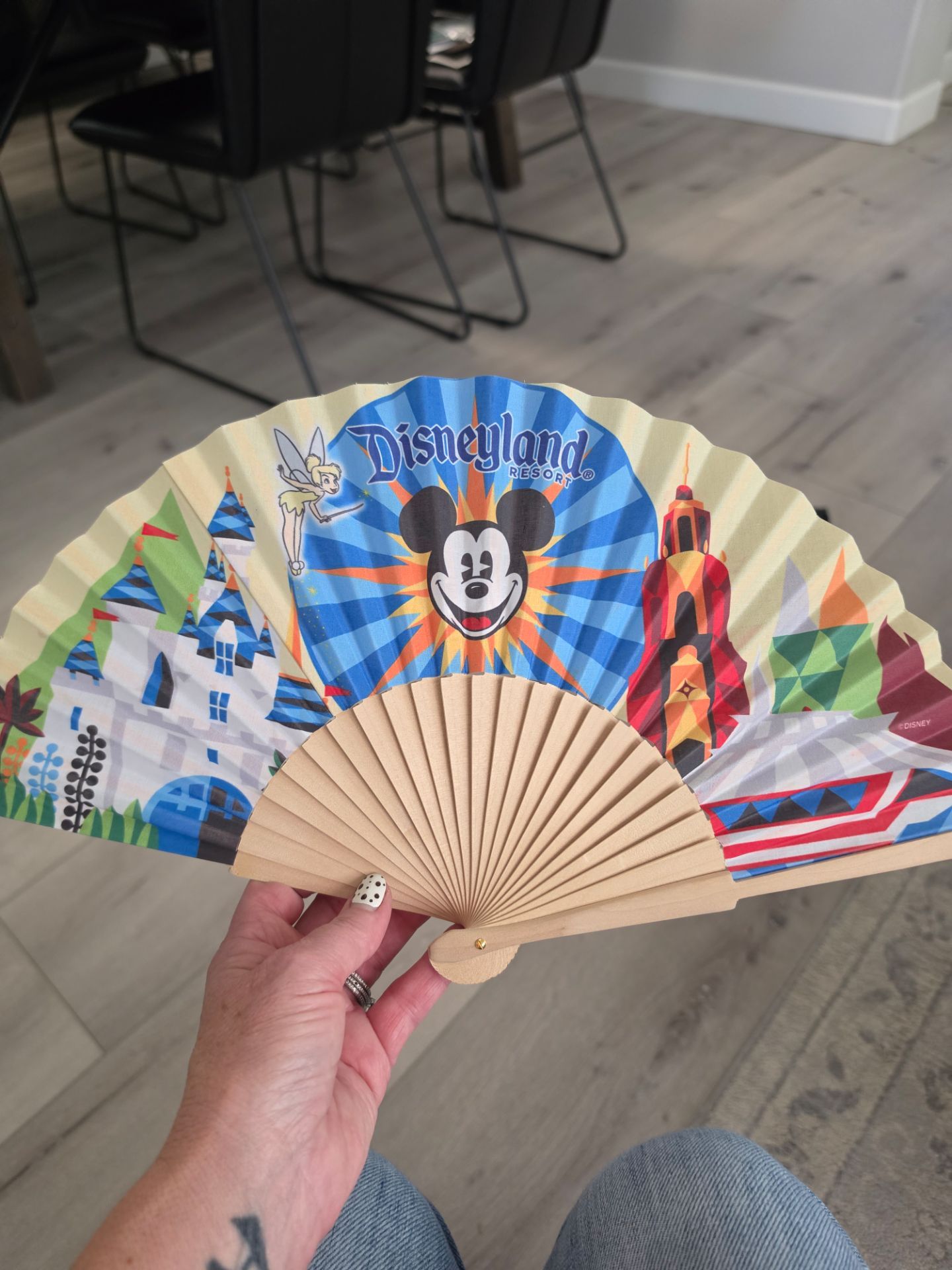 Disney Folding Fan