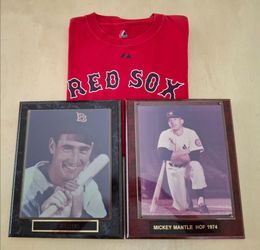 MANTLE - YANKEES / WILLIAMS RED SOX PLAQUES ☆ $25 FOR ALL OR SOLD SEPARATELY  PICK UP OR SHIPPED AT COST
