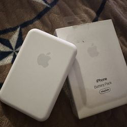 Apple Charger And Pods 