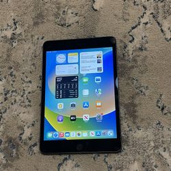 iPad mini 5/ WiFi And Cellular Unlocked 