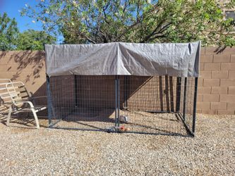 Dog Kennel  5 x 10