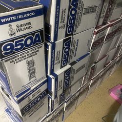 Pintura Y Material Para Pintores Paint & Supplies 