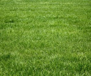 Mowing grass just don't have a mower only if you have one near santa clara