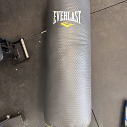 Everlast Everstrike Punching Heavy Bag