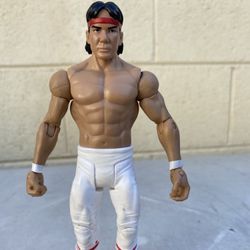 WWE Action Figure : Ricky The Dragon Steambot 