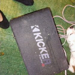 subwoofer