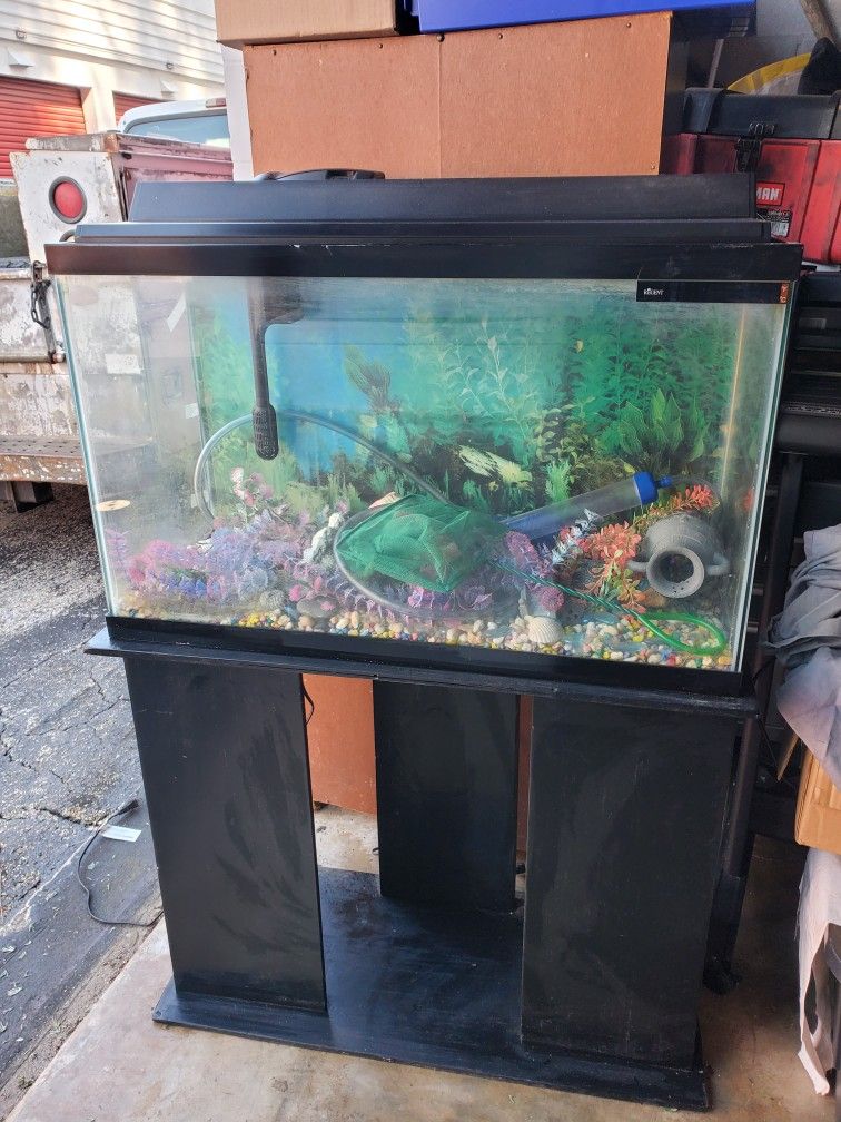 Fish Tank