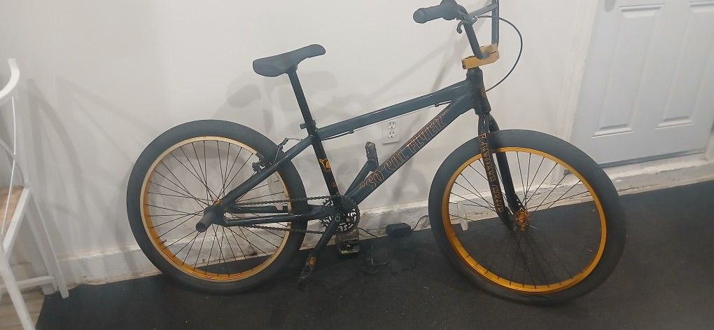 Local Flyer 24in Bmx
