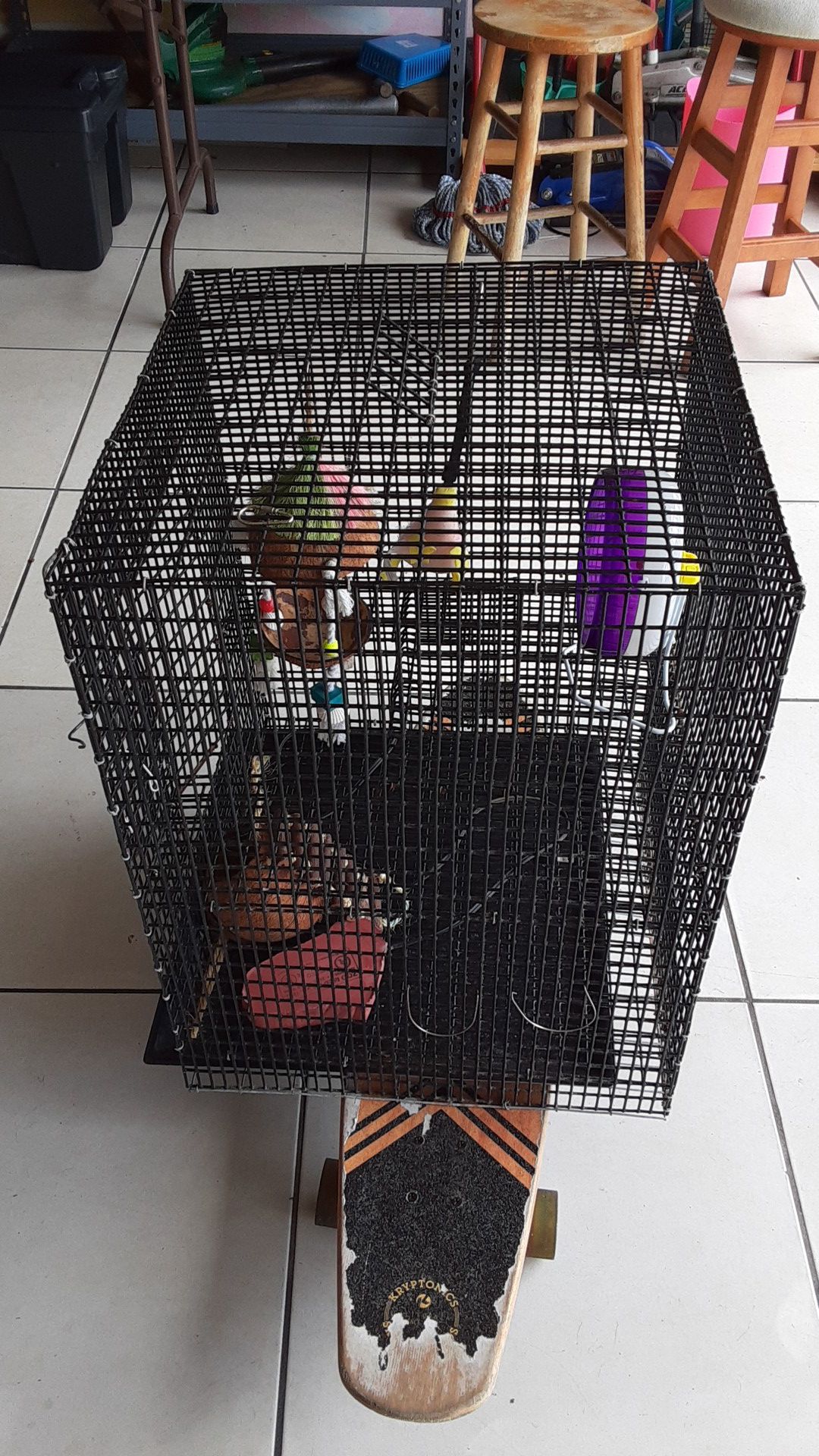 Cage for Bird