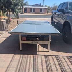 Ping Pong Table