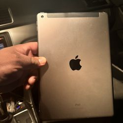 iPad 