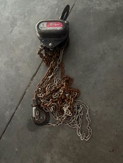 Chainfall hoist