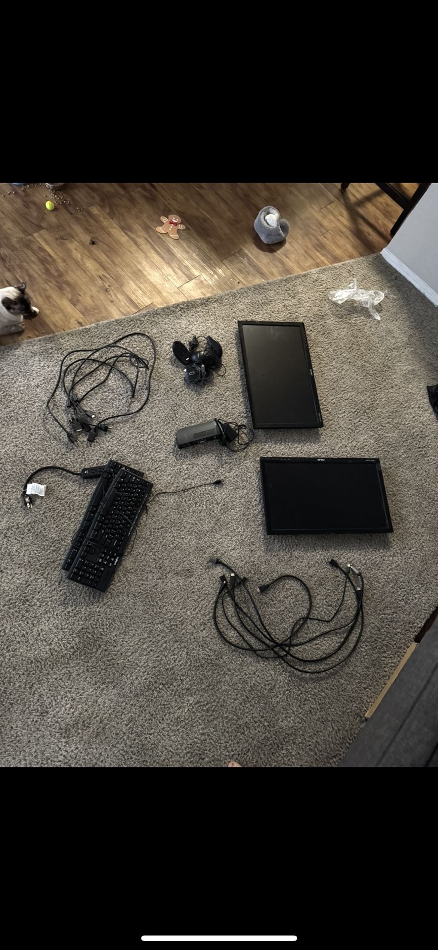 Monitors