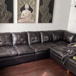 Brown Leather Couches