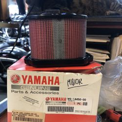 1WS.14450.00 Genuine Yamaha Air Filter New