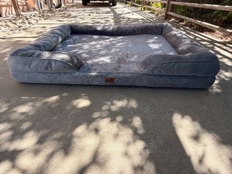 Dog beds