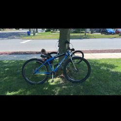 Limited Edition City Grounds Big Ripper (Send Offers)