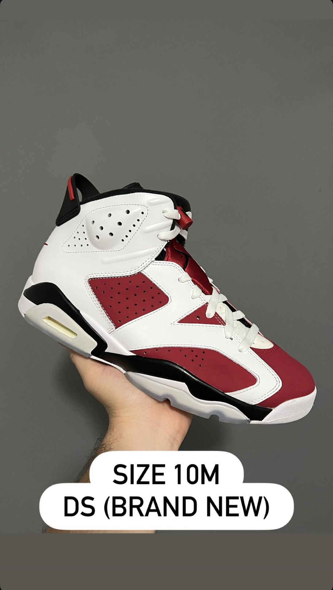 Air Jordan 6 Retro