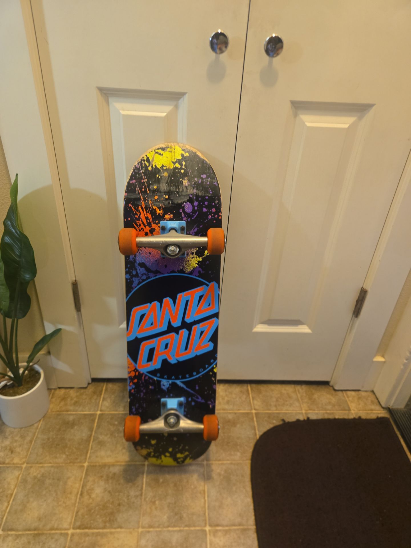 Santa cruz skateboard