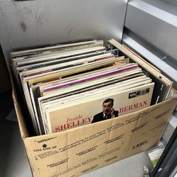 Vintage Vinyls Records lot jazz/easy listening?