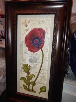 Poppy frame