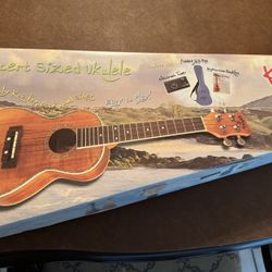 Concert Sized Ukulele $40
