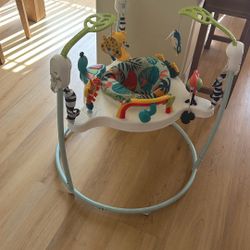 Baby Bouncer 