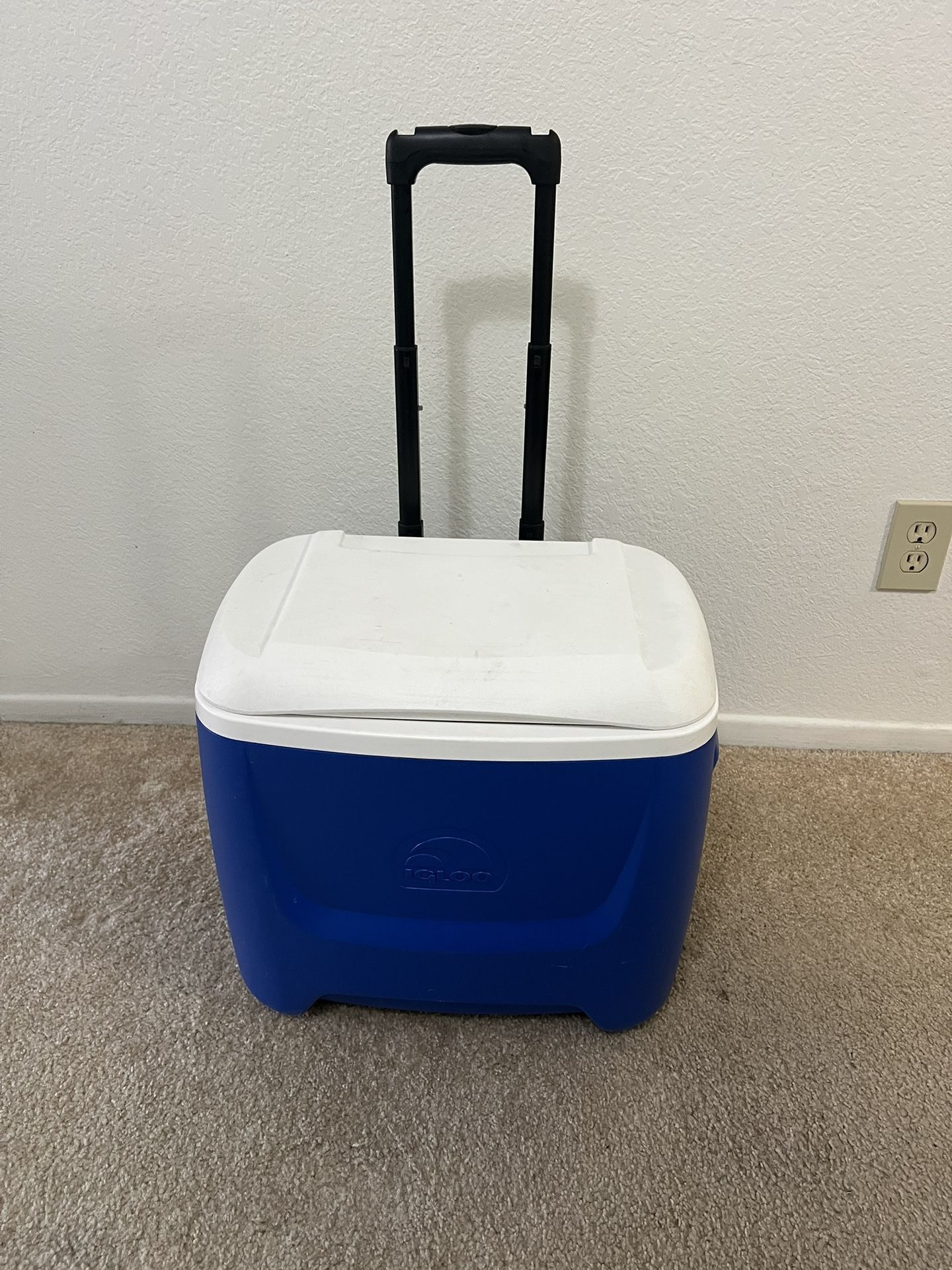 Cooler Igloo