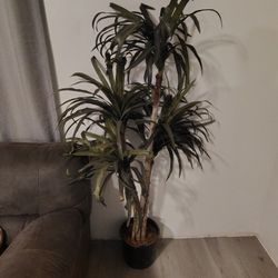 Plant Artificial 