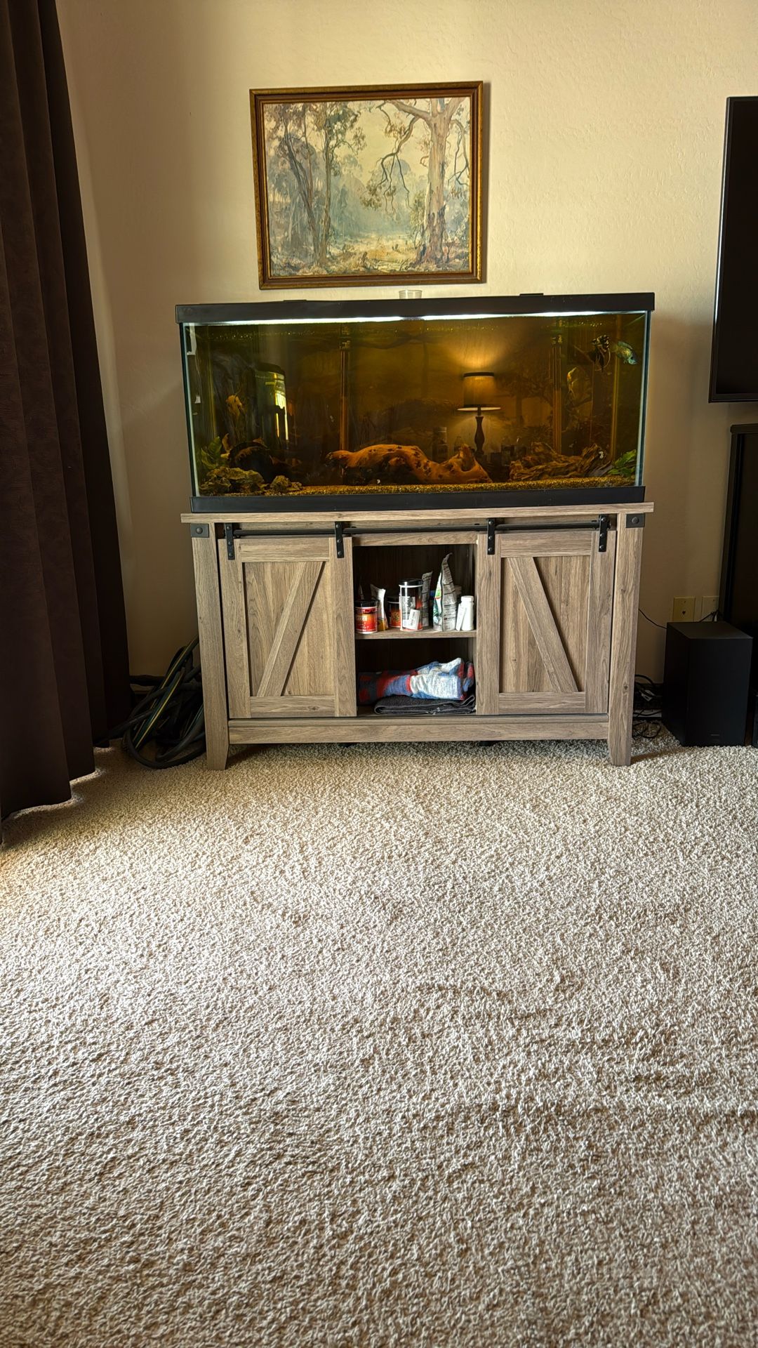 Free 75 Gallon Tank With Fish