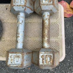 10 Pound Dumbbells